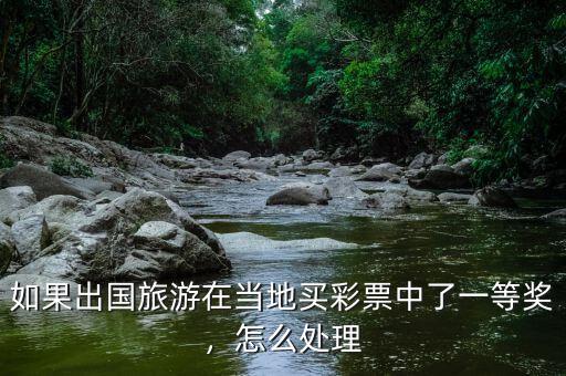 如果出國旅游在當(dāng)?shù)刭I彩票中了一等獎，怎么處理