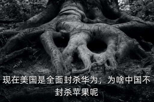 現(xiàn)在美國是全面封殺華為，為啥中國不封殺蘋果呢