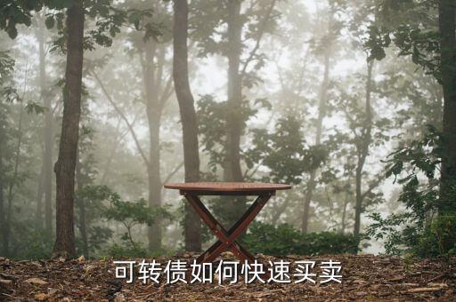 三一重工可轉(zhuǎn)債怎么買,怎樣看懂可轉(zhuǎn)債盤(pán)口