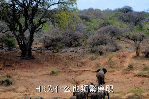 HR為什么也頻繁離職