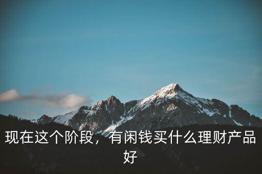 現(xiàn)在這個(gè)階段，有閑錢買什么理財(cái)產(chǎn)品好