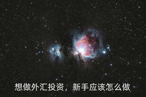 想做外匯投資，新手應(yīng)該怎么做