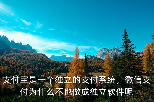 支付寶是一個(gè)獨(dú)立的支付系統(tǒng)，微信支付為什么不也做成獨(dú)立軟件呢