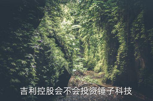 吉利控股會(huì)不會(huì)投資錘子科技