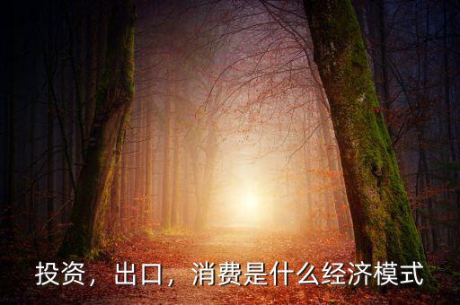 什么是消費投資模式,消費是什么經(jīng)濟模式