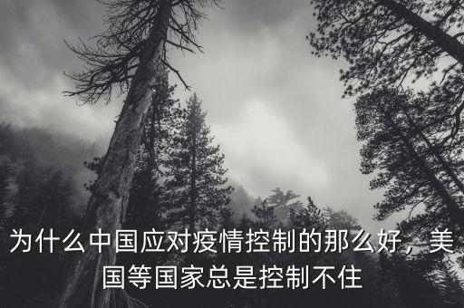 為什么中國(guó)應(yīng)對(duì)疫情控制的那么好，美國(guó)等國(guó)家總是控制不住