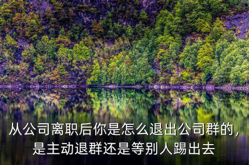 什么是退出類平臺(tái)公司,P2P公司倒閉的原因是什么