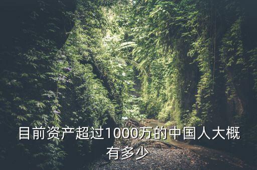 目前資產(chǎn)超過1000萬的中國(guó)人大概有多少