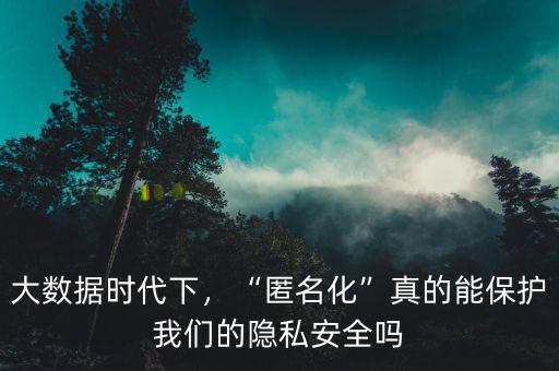 大數(shù)據(jù)時代下，“匿名化”真的能保護(hù)我們的隱私安全嗎