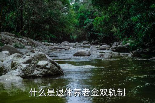 什么是退休養(yǎng)老金雙軌制