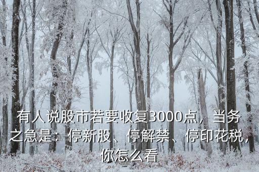 有人說股市若要收復(fù)3000點，當務(wù)之急是：停新股、停解禁、停印花稅，你怎么看