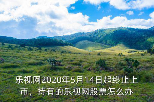 樂視網(wǎng)2020年5月14日起終止上市，持有的樂視網(wǎng)股票怎么辦