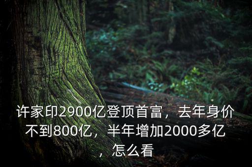 許家印2900億登頂首富，去年身價(jià)不到800億，半年增加2000多億，怎么看