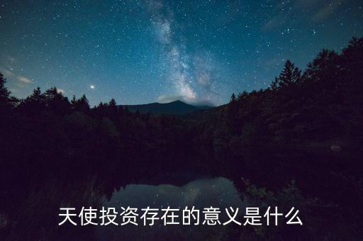 天使投資存在的意義是什么