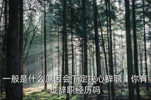 一般是什么原因會下定決心辭職，你有過辭職經(jīng)歷嗎