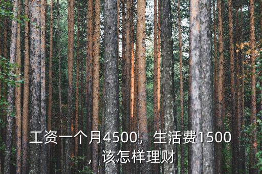 工資一個月4500，生活費1500，該怎樣理財