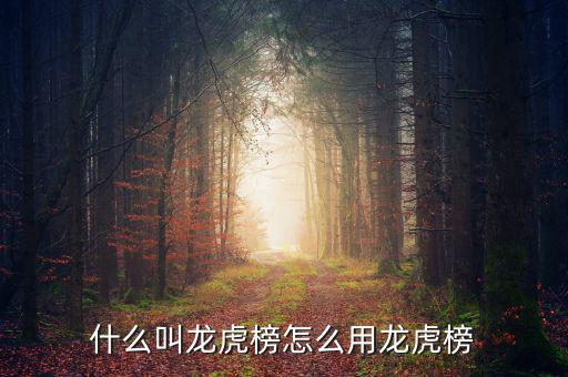 龍虎榜敢死隊(duì)說明什么,什么叫龍虎榜