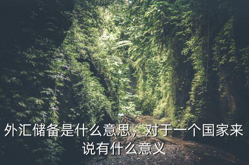 外匯儲(chǔ)備是什么意思，對(duì)于一個(gè)國(guó)家來說有什么意義