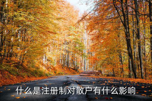 什么是注冊(cè)制對(duì)散戶有什么影響