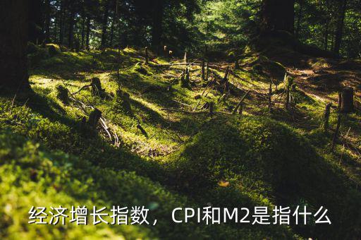 經(jīng)濟(jì)增長(zhǎng)指數(shù)，CPI和M2是指什么