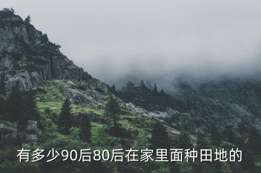 有多少90后80后在家里面種田地的