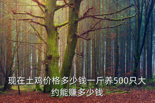 現(xiàn)在土雞價(jià)格多少錢一斤養(yǎng)500只大約能賺多少錢