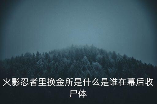 火影忍者里換金所是什么是誰在幕后收尸體