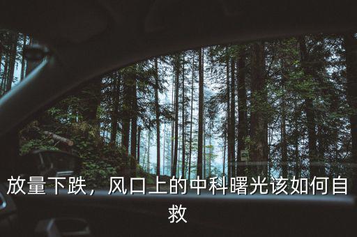 放量下跌，風(fēng)口上的中科曙光該如何自救