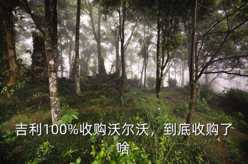 吉利100%收購沃爾沃，到底收購了啥