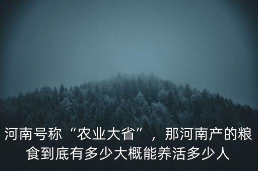 河南號稱“農業(yè)大省”，那河南產(chǎn)的糧食到底有多少大概能養(yǎng)活多少人