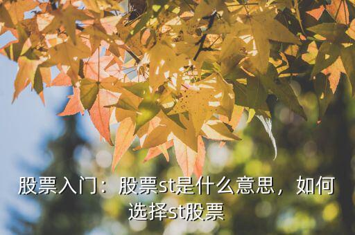 股票入門：股票st是什么意思，如何選擇st股票