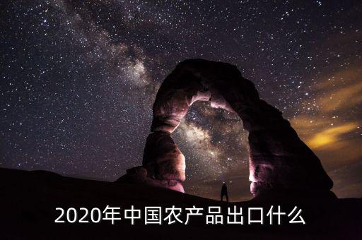 2020年中國農(nóng)產(chǎn)品出口什么