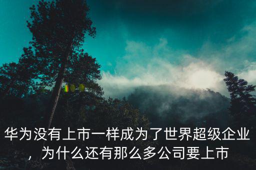 華為沒有上市一樣成為了世界超級(jí)企業(yè)，為什么還有那么多公司要上市