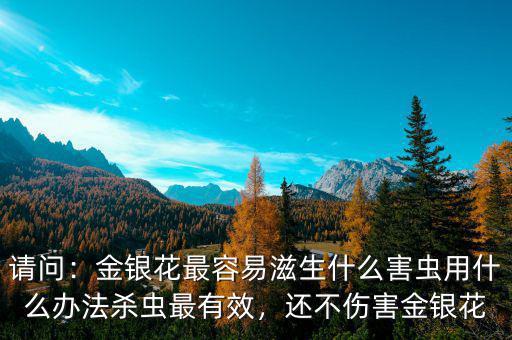 請(qǐng)問：金銀花最容易滋生什么害蟲用什么辦法殺蟲最有效，還不傷害金銀花