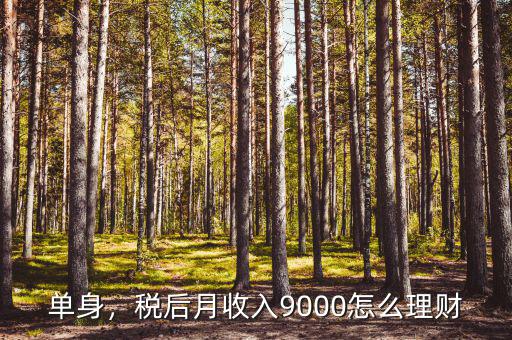 單身，稅后月收入9000怎么理財(cái)