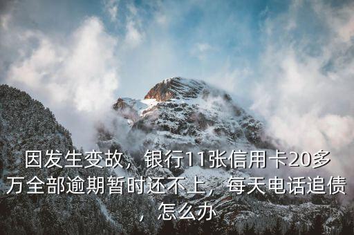 因發(fā)生變故，銀行11張信用卡20多萬全部逾期暫時還不上，每天電話追債，怎么辦