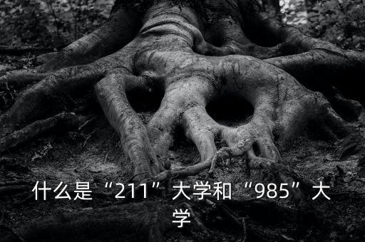 211和985什么意思,985和211是什么意思