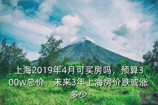 上海2019年4月可買房嗎，預(yù)算300w總價(jià)，未來3年上海房價(jià)跌或漲多少