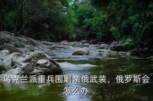 烏克蘭派重兵圍剿親俄武裝，俄羅斯會(huì)怎么辦