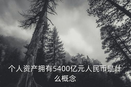 個人資產(chǎn)擁有5400億元人民幣是什么概念