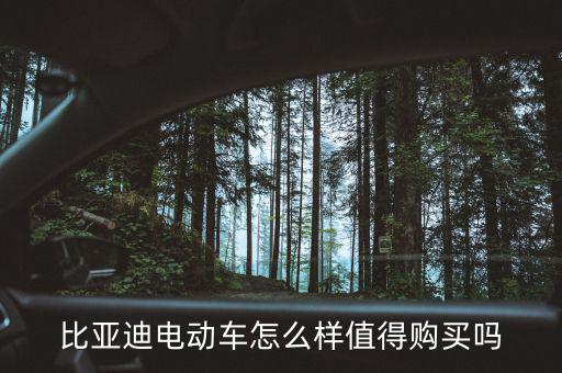 比亞迪電動車怎么樣值得購買嗎