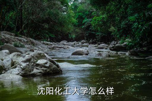 沈陽藍(lán)晶科技怎么樣,請問一下沈陽科技學(xué)院怎么樣