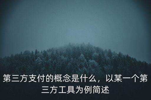 第三方支付的概念是什么，以某一個第三方工具為例簡述