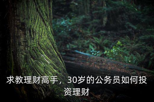 求教理財高手，30歲的公務員如何投資理財