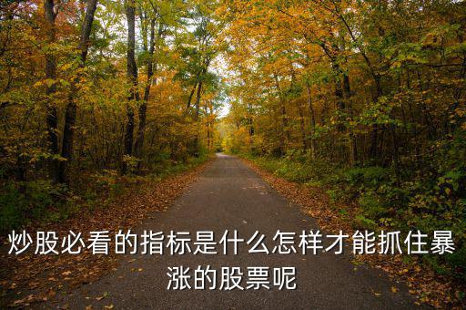 炒股必看的指標(biāo)是什么怎樣才能抓住暴漲的股票呢