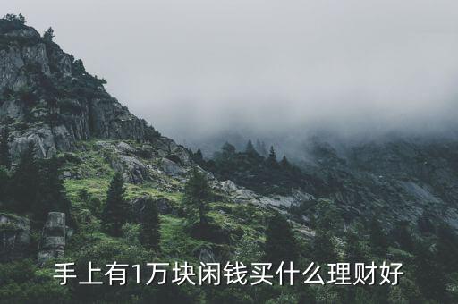 一元投資的理財有什么,投什么理財好