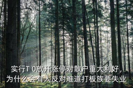 實行T 0放開漲停對散戶重大利好，為什么會有人反對難道打板族要失業(yè)