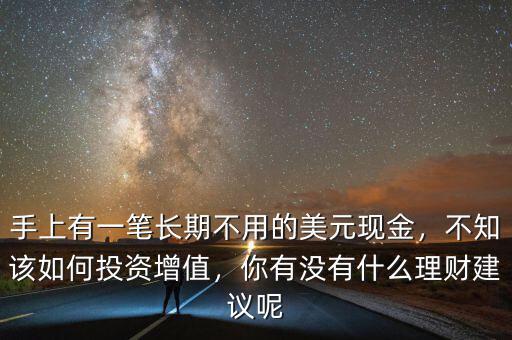 手上有一筆長期不用的美元現(xiàn)金，不知該如何投資增值，你有沒有什么理財建議呢