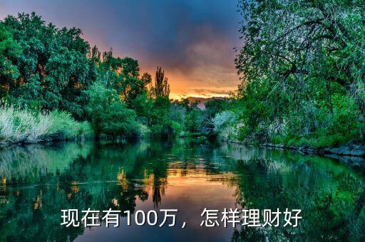 有100萬(wàn)怎么理財(cái),你有100萬(wàn)閑錢怎么理財(cái)