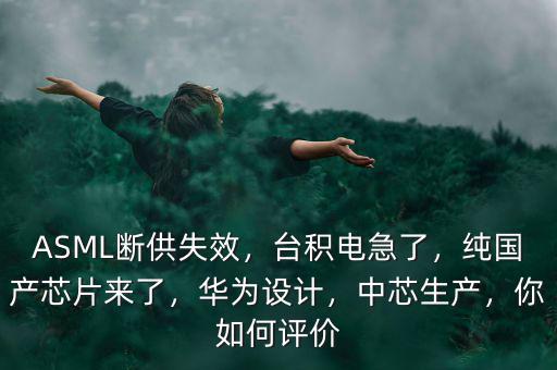 ASML斷供失效，臺積電急了，純國產(chǎn)芯片來了，華為設(shè)計，中芯生產(chǎn)，你如何評價